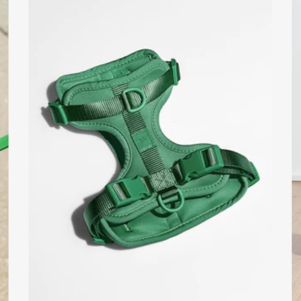 WILD ONE - dog harness - medium